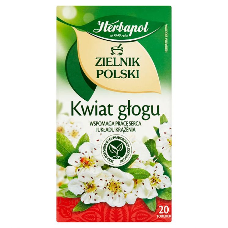 HERBAPOL HERBATA ZIELNIK POLSKI KWIAT GŁOGU 20TB