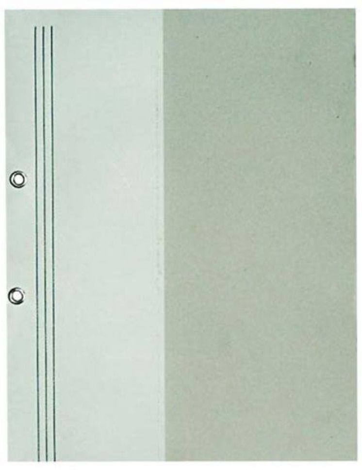 SKOROSZYT KARTONOWY OCZKOWY 1/2 KIEL-TECH A4 BIAŁY 350G/M2 (50)