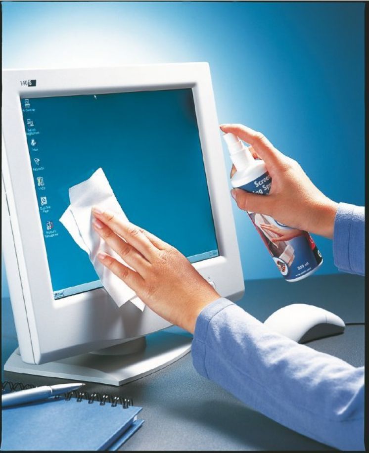 Płyn do czyszczenia monitorów ESSELTE DATALINE 250 ml