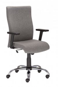 Krzesło William R19T steel EF031 szary Nowy Styl