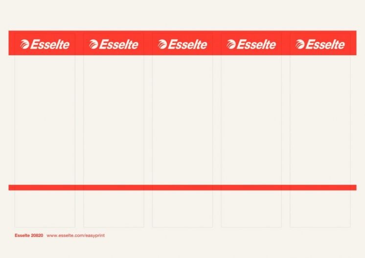 Etykiety grzbietowe ESSELTE samoprzylepne 36X192mm 10x6szt. białe