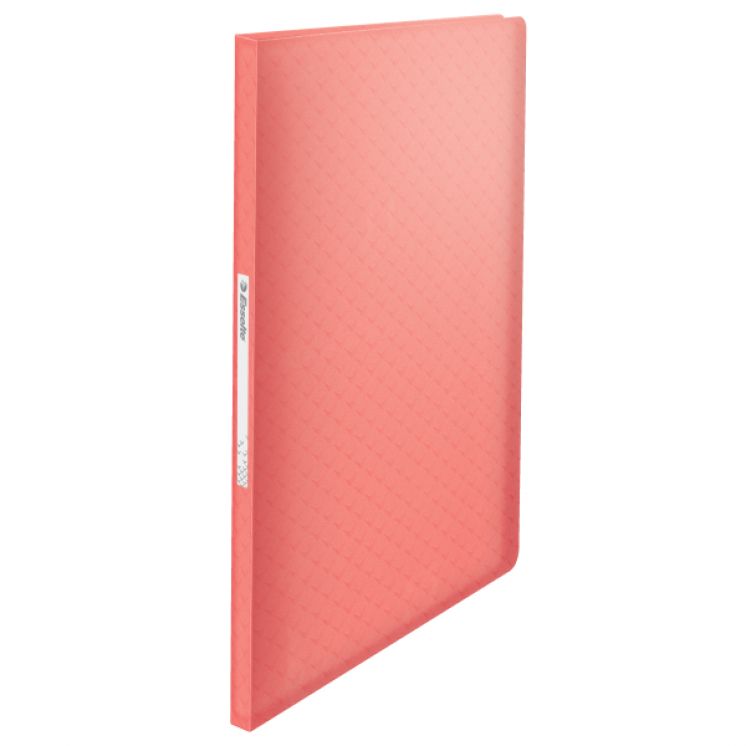 Album ofertowy Esselte Colour&#039;Breeze, z 60 koszulkami, koralowy 628443